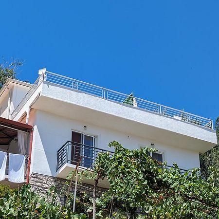 Guesthouse Panorama Nivice Sarandë エクステリア 写真